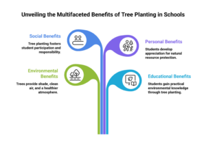 benefits of tree plantation in schools