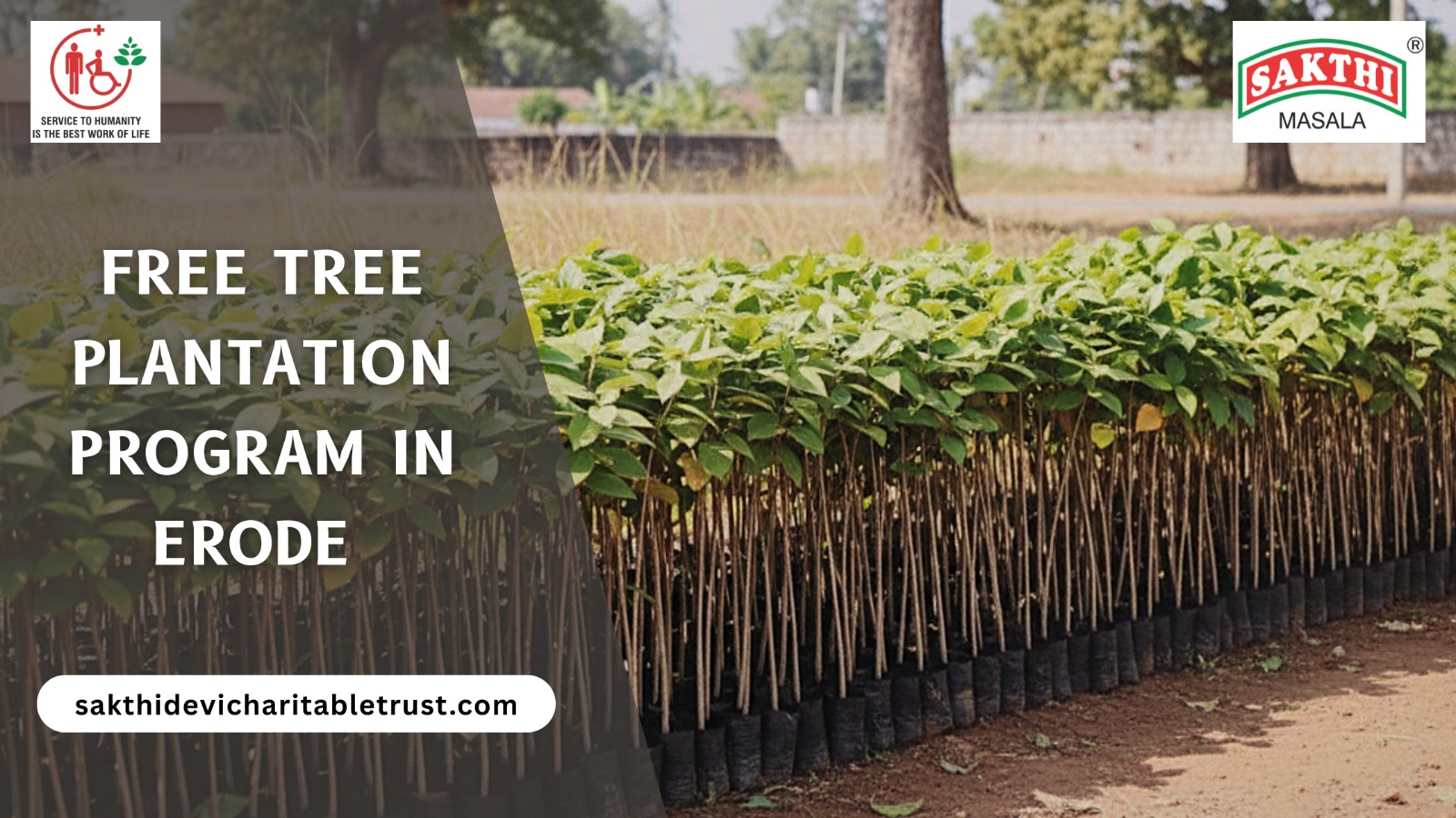 How Thalir Free Tree Plantation Program in Erode Has Distributed 1,82,500+ Saplings