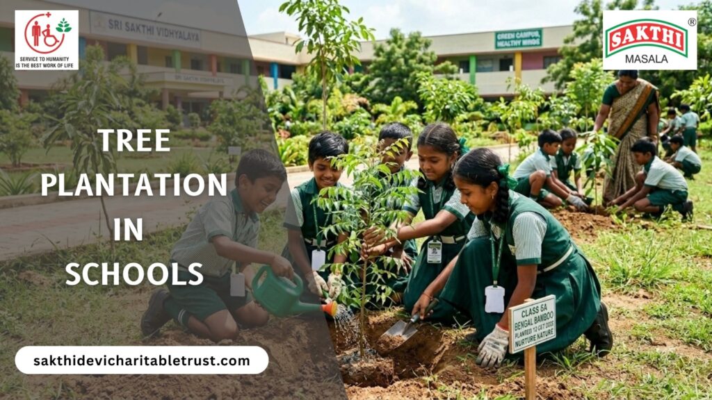 Tree Plantation in Schools: Why Every School Curriculum Should Include It?