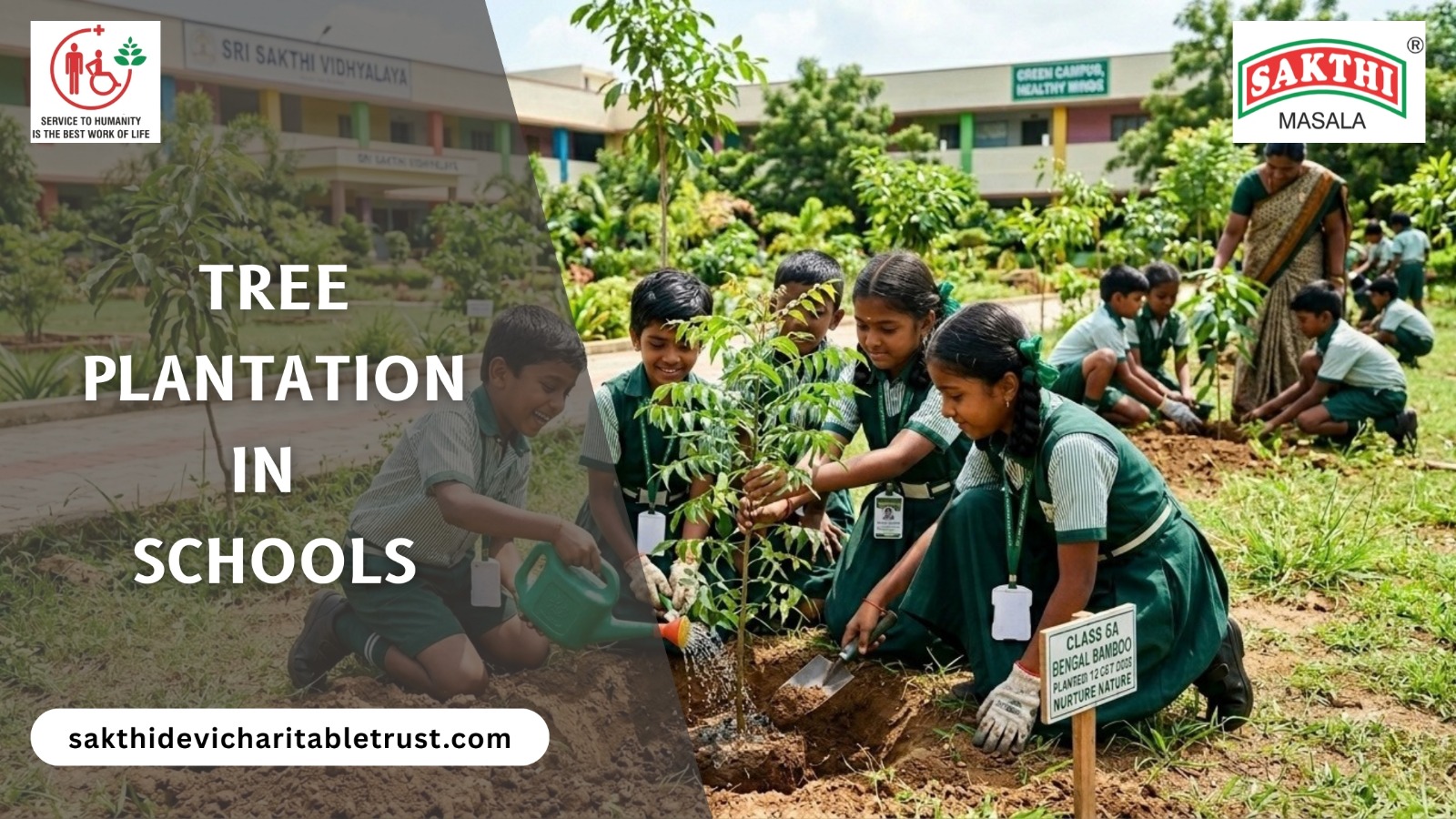 Tree Plantation in Schools: Why Every School Curriculum Should Include It