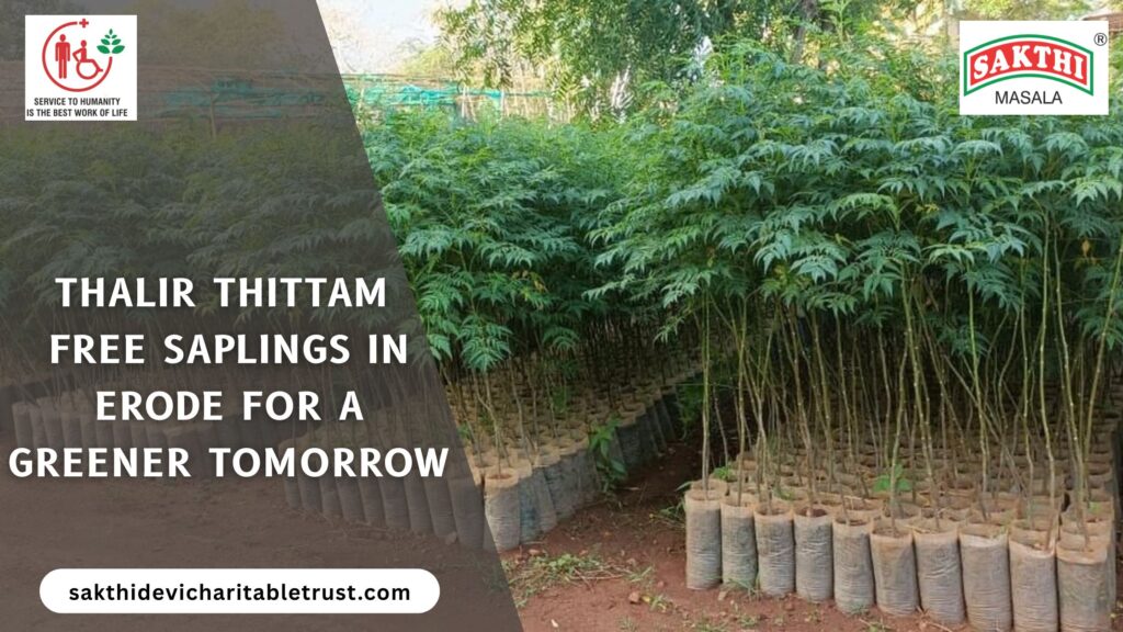 Free Saplings in Erode: Join the Thalir Movement for a Greener Tomorrow